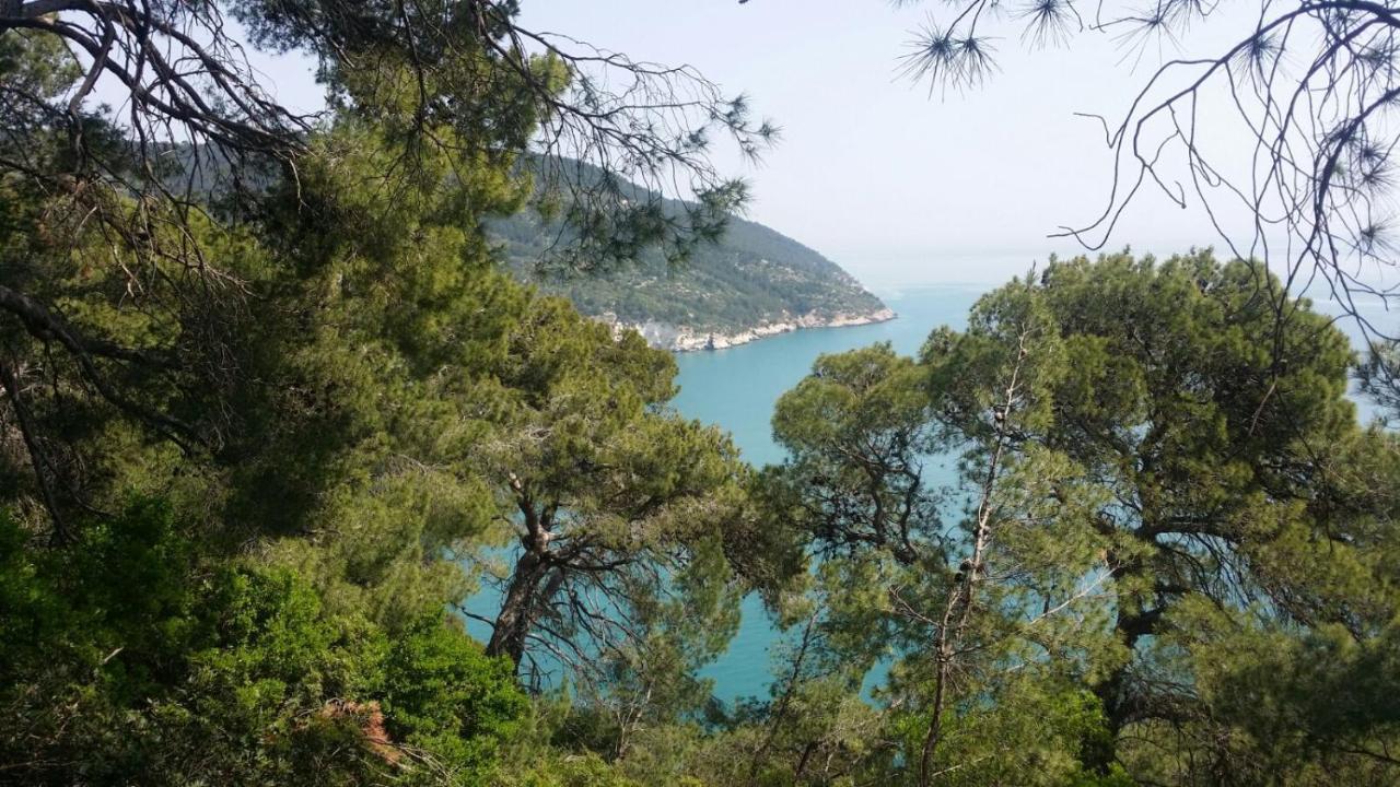 Olive&Sea Villa-Sea Матината Екстериор снимка